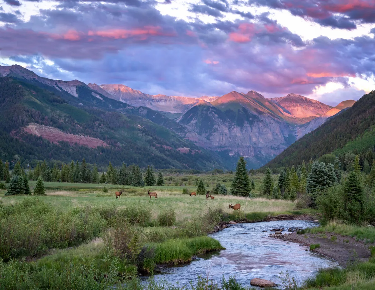 A panoramic view of majestic mountains, a flowing stream, and traces of wildlife beneath a wide summer sky. The setting is peaceful and perfect for hiking, photography, or enjoying a picnic in nature.